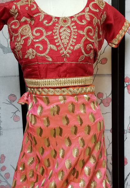 Lehanga - Red, Embroidary