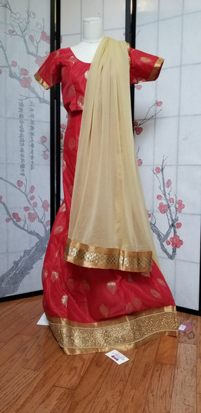 Lehanga - Red Embroidary