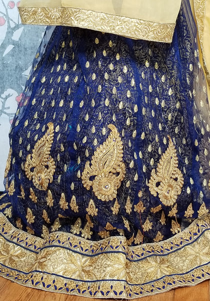 Lehanga - Deep Blue with Cream embroidery