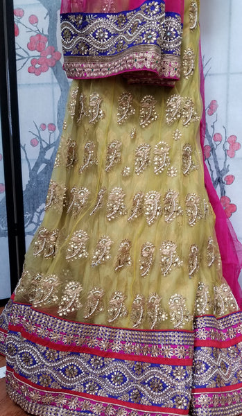Lehanga - Cream with Pink and Dark Blue embroidery