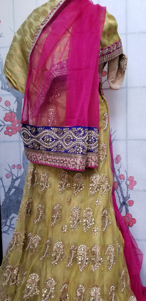 Lehanga - Cream with Pink and Dark Blue embroidery