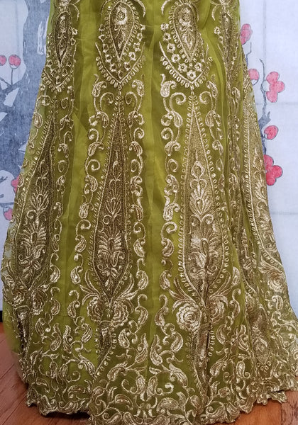 Lehanga - Light Green with Cream embroidery