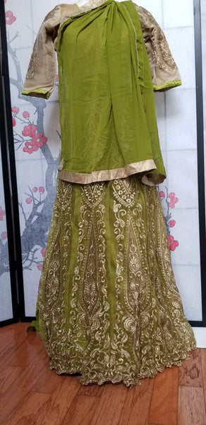 Lehanga - Light Green with Cream embroidery