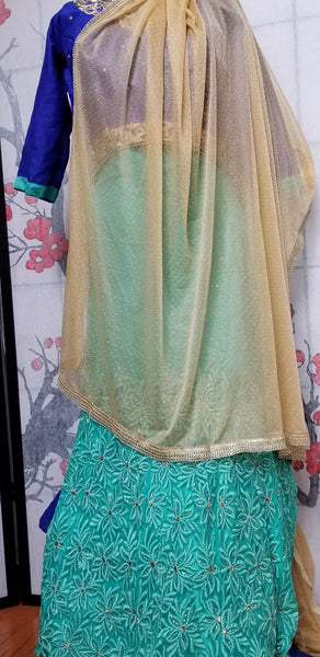Lehanga - Light Blue with Dark Blue